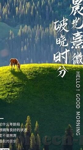 qq足球即使比分-QQ足球即时比分，球迷的掌上观赛神器与赛事分析宝典