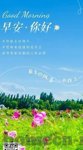 體探足球比分-体探足球比分，一场数据背后的激情与策略博弈