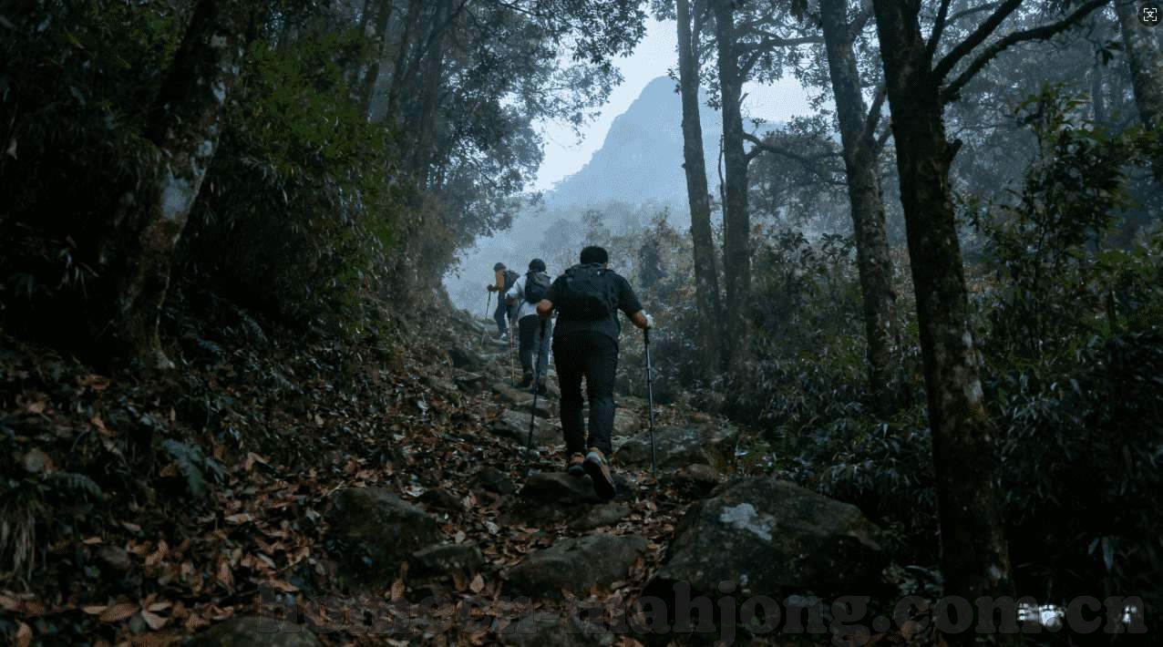 星空体育官网登录入口-星空体育官网，解锁数字时代的体育赛事新体验